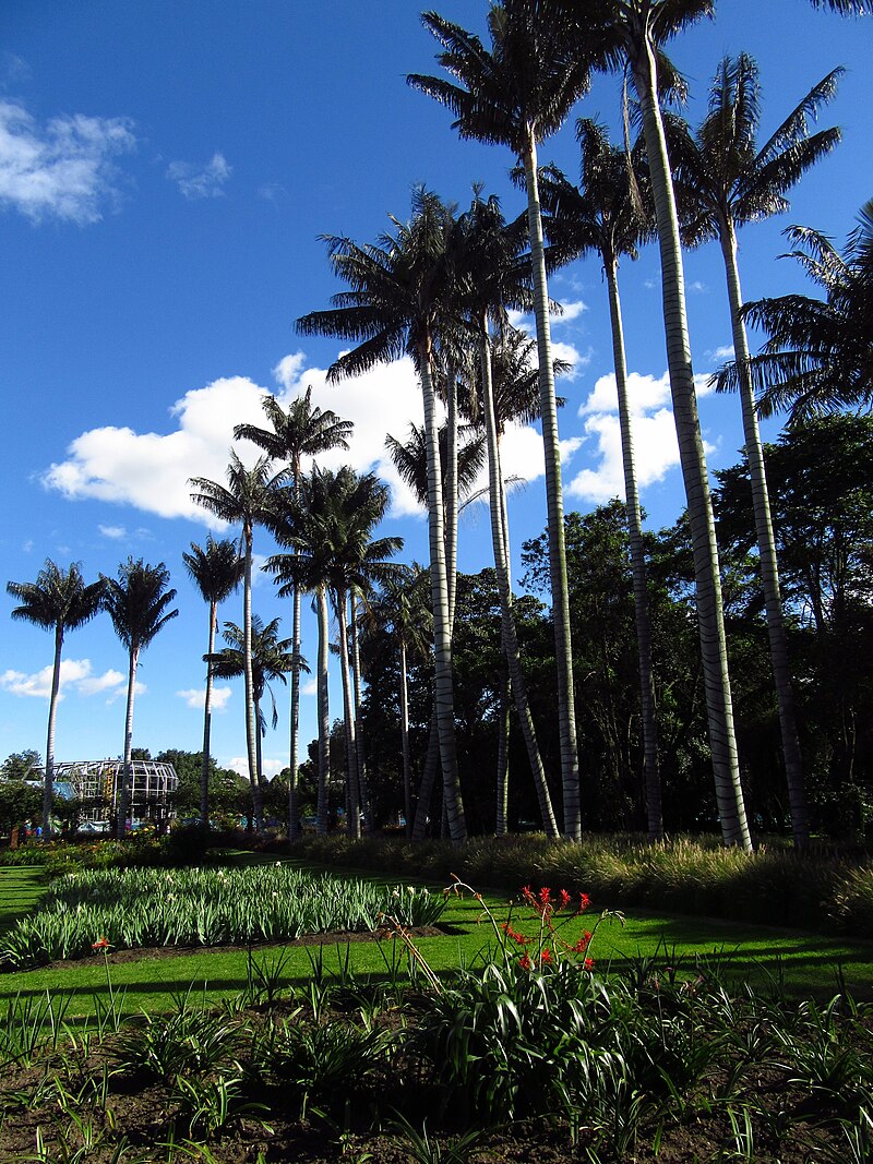 Bogotá Botanical Garden