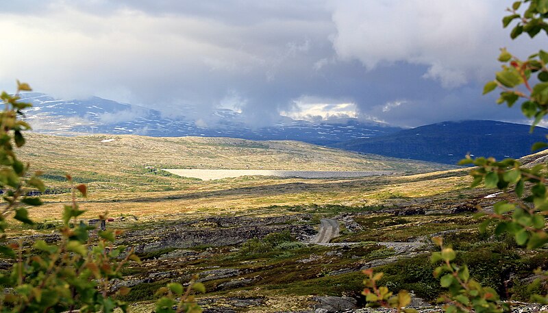Aursjøen