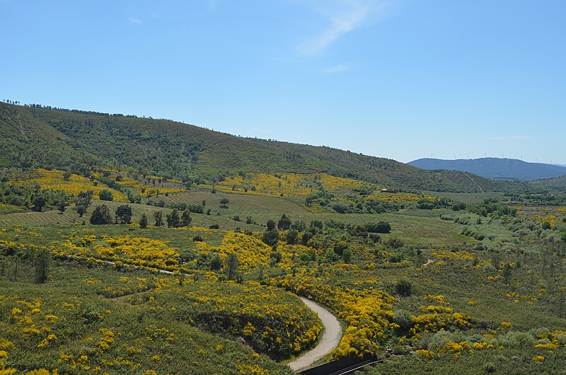 Penamacor